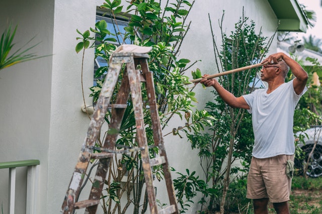 gardening before selling your home